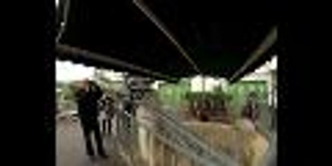 Bordeaux : Serge le lama, mascotte marketing