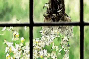 ROMÁNCOK - HA NEM SZERETSZ MÁR ÉS MÁSÉ A SZÍVED