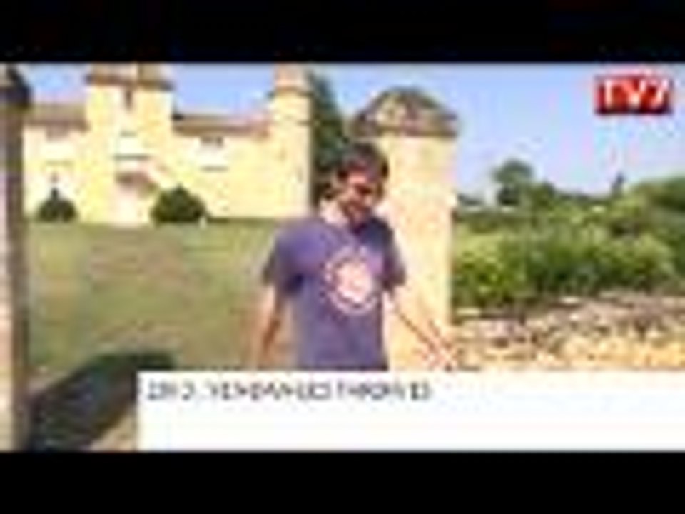 Bordelais : les vendanges s'annoncent tardives