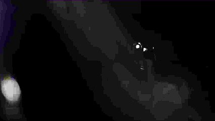 2016 Cadillac CTS-V Sedan Preview - Video Dailymotion