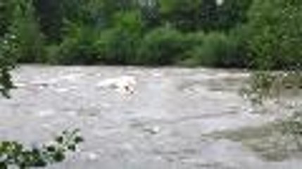 Des kayakistes sur le gave de Pau en crue