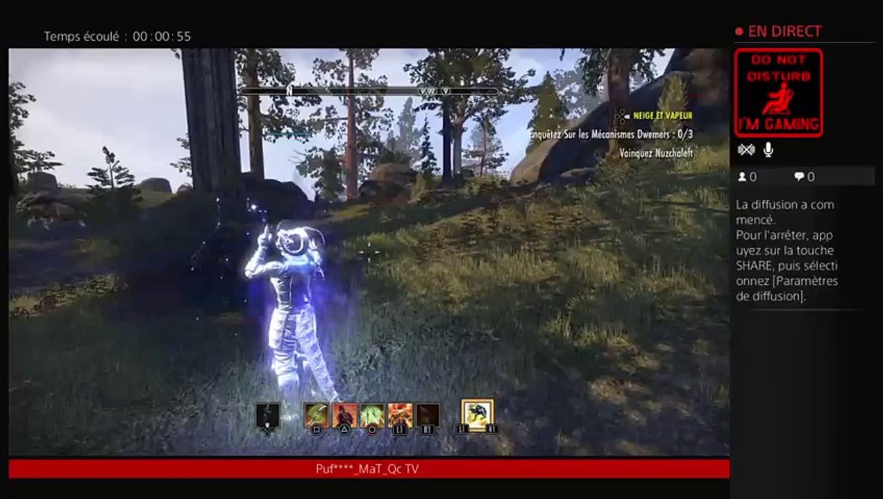 Diffusion PS4 en direct de  pufpuff_MaT_Qc (4)