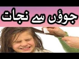 treatment of head lice - sar me ju ka ilaj in urdu hindi