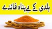 Turmeric Benefits - haldi ke fawaid - Turmeric Benefits in urdu hindi
