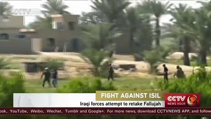 Iraqi forces attempt to retake Fallujah