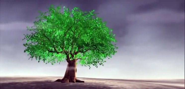 Phim hoạt hình Việt Nam- Lá cây và lông vũ