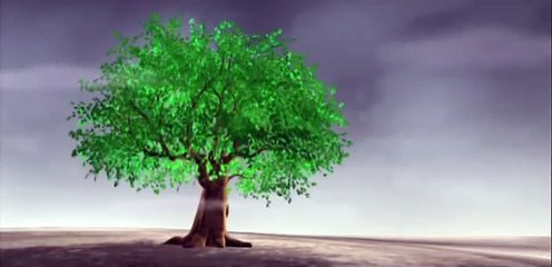 Phim hoạt hình Việt Nam- Lá cây và lông vũ