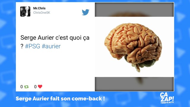 Serge Aurier en garde à vue : les internautes se moquent !