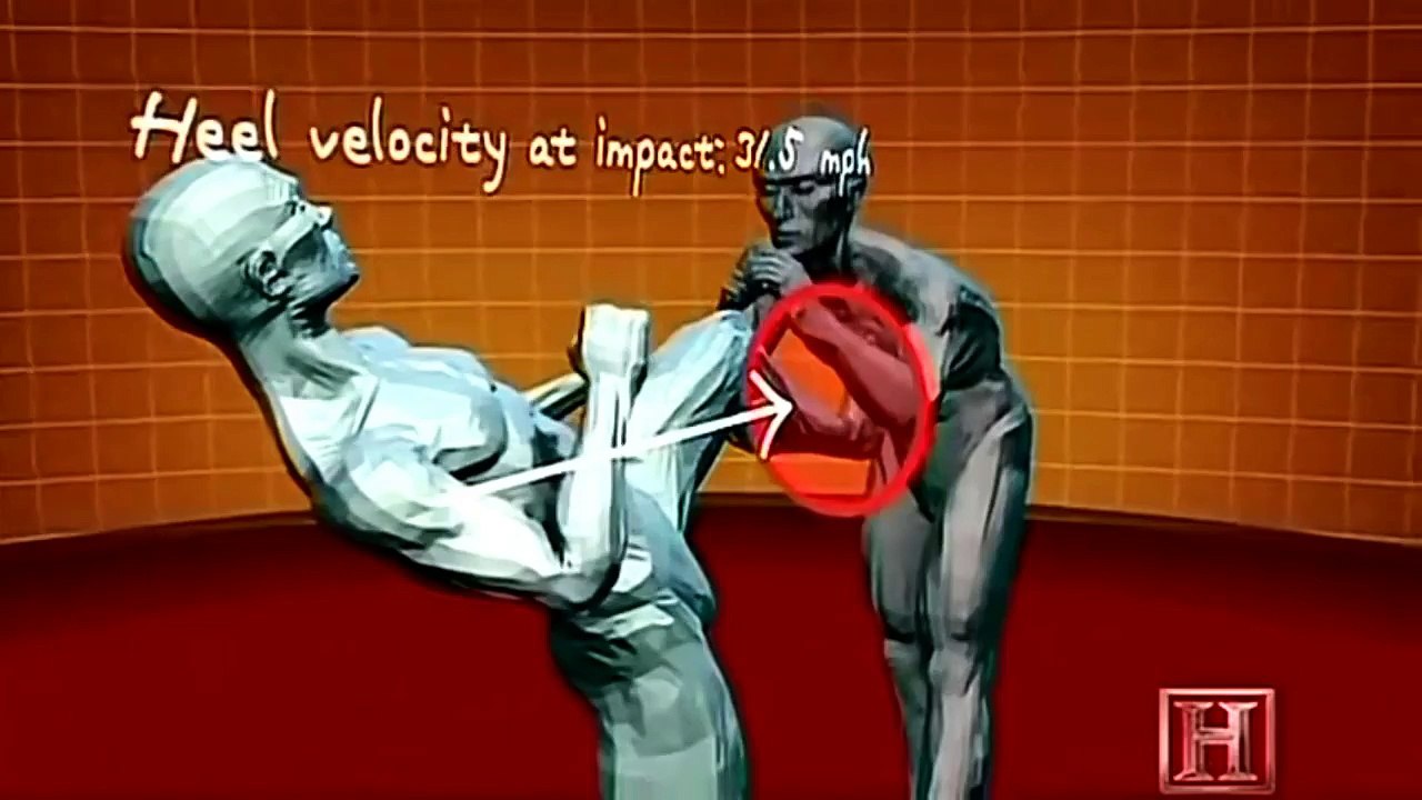 Human Weapon-Attacks,Fighting Techniques andSelf Defense for anyone/men women and Begginers