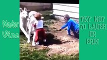 TRY NOT TO LAUGH OR GRIN CHALLENGE! IMPOSSIBLE CHALLENGE ✔ February 2016 Vine Compilation