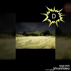 MÚSICA DE SUSPENSE | Terror Requiem For a Dream