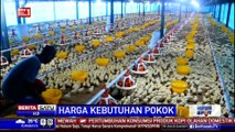 Harga Daging Ayam Capai Rp 35 Ribu per Kg