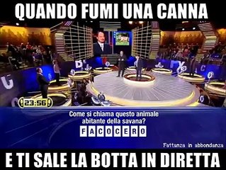 Quando ti sale la botta della canna in diretta