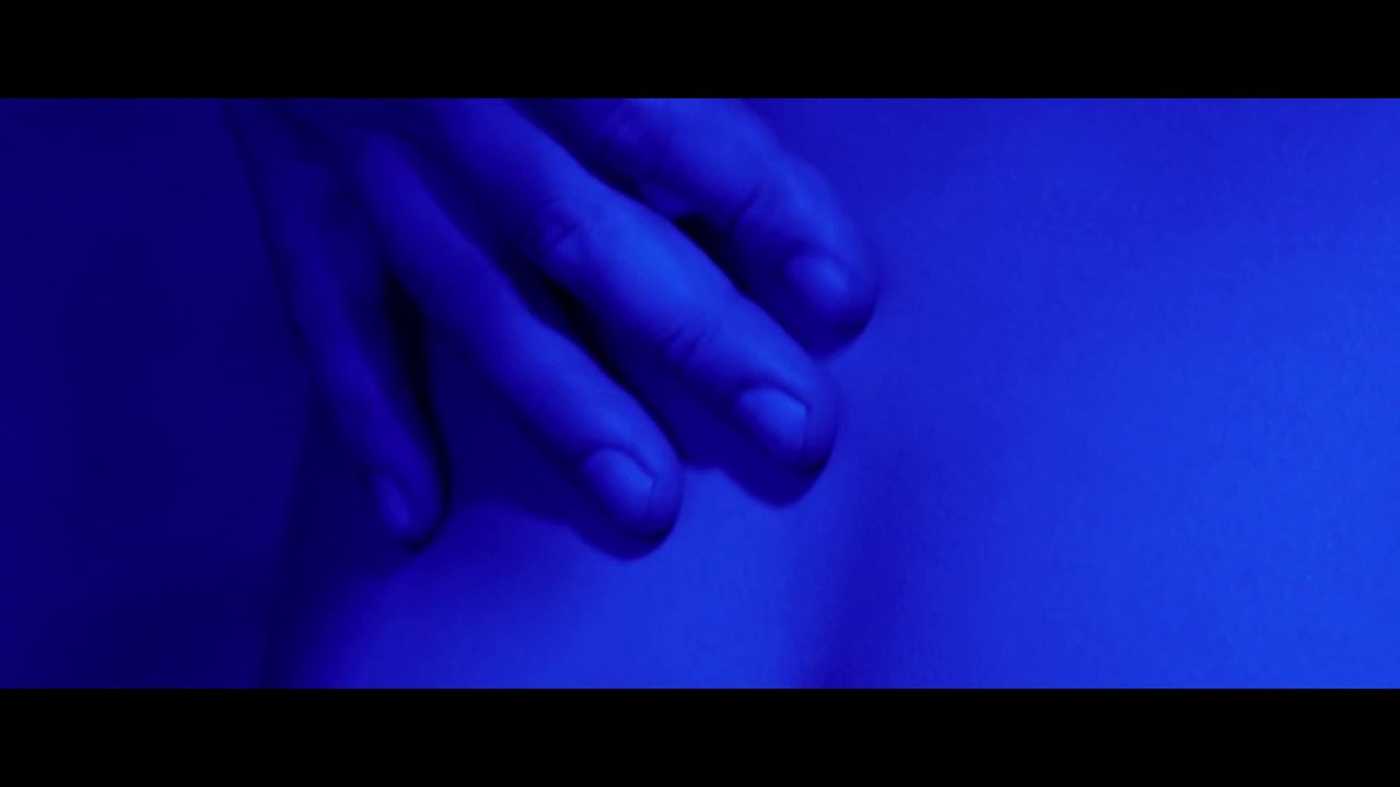 звери и насекомые 28+