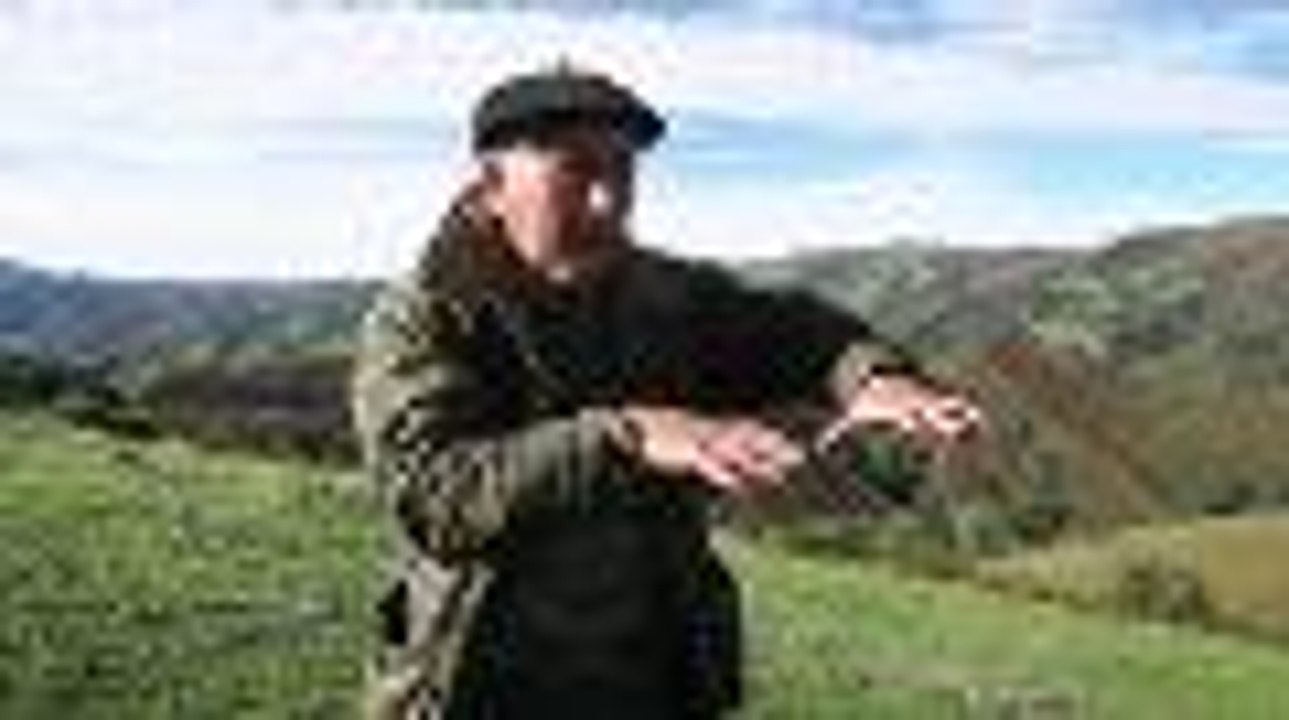 Pays basque : une autre façon de chasser la palombe