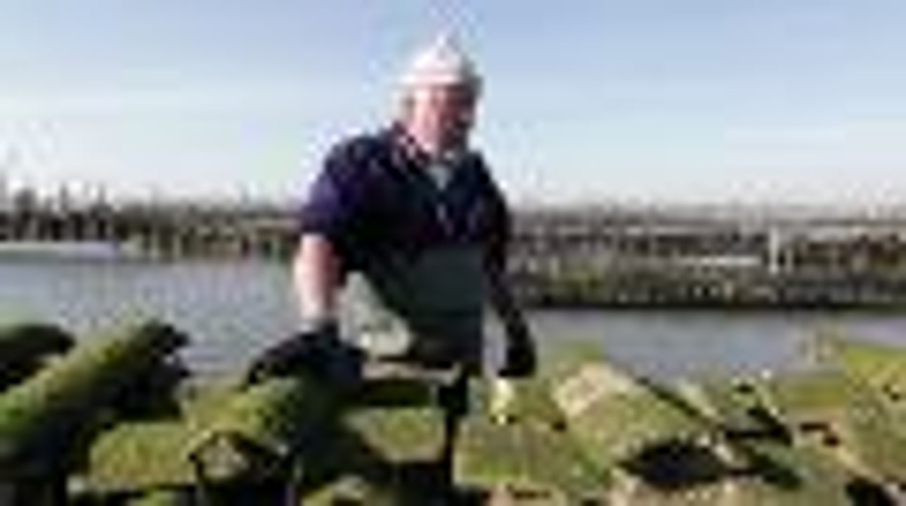 Naissances d'huitres sur le Bassin d'Arcachon