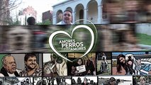 Amores Perros y Otros Amores - Desafio de la pipeta