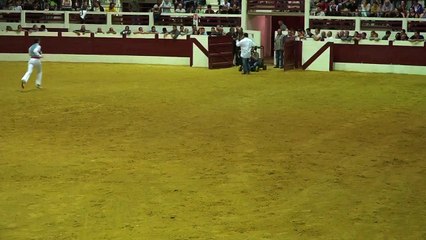 27.05.16 Samadet  Dal Maynus Ecole Taurine FFCL  Présentation Promo 2016  Les Juniors