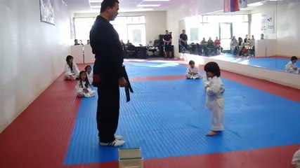 Little Bravest Gymnastic Boy Trying To Break Board With One Leg