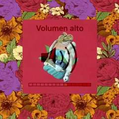 Ald2 Basi - Sus Mejores Vines Marzo 2016