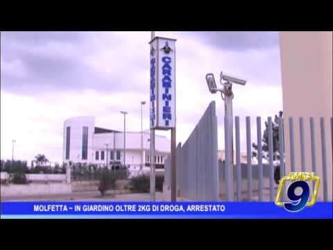 Molfetta | In giardino 2 kg di droga, arrestato