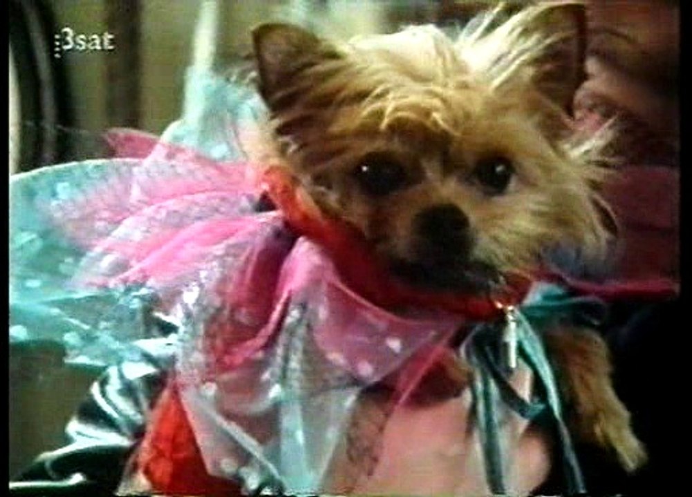 Loewenzahn  S01E06 - willis familienalbum