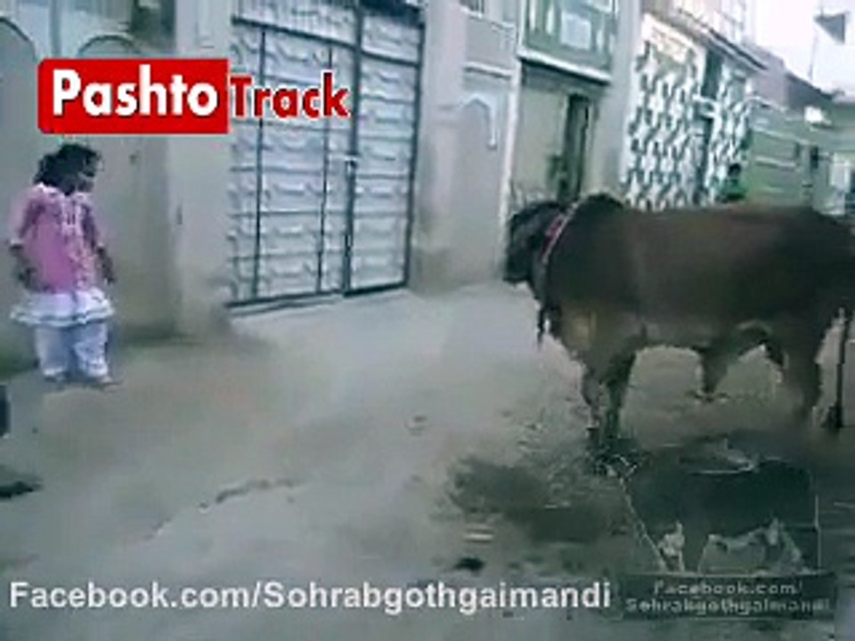 fUNNY VIDEO y