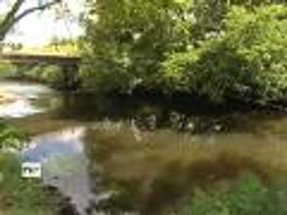 Biganos (33) : Smurfit a repris son activité