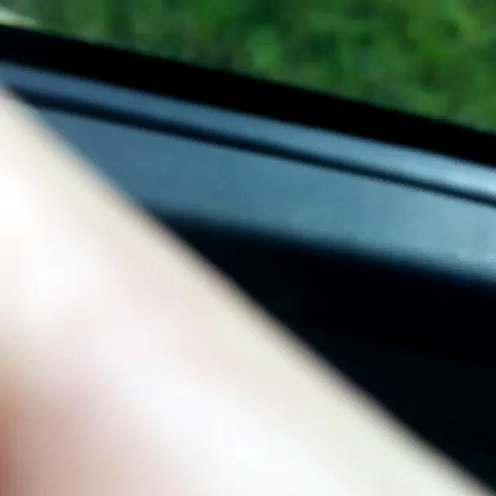 moiii