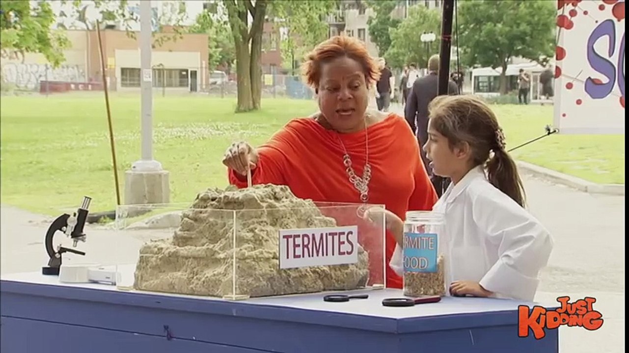 Termites Eats Spoon !