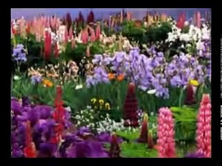 THẬP THIỆN NGHIỆP (14) ĐĐ. THÍCH GIÁC THIỆN Giảng