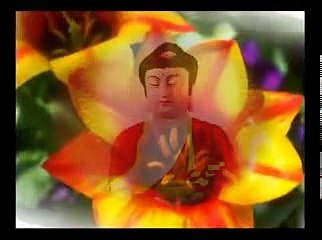 THẬP THIỆN NGHIỆP (11) ĐĐ. THÍCH GIÁC THIỆN Giảng