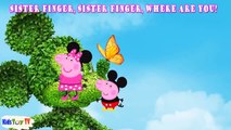 Peppa Pig English Episodes Peppa Pig Mickey Mouse Finger Family Songs SUNTV video snippet