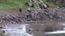 Ardahan Balık Tutmaya Çalışırken Baraj Suyunda Kayboldu