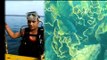 Call of Deep: Scuba Diving in Arabian Sea. (A short film by Jitendra Dixit)