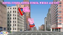 Peppa Pig English Episodes Peppa Pig Supper Man Finger Family Nursery Rhymes Lyrics Song SUNTV video