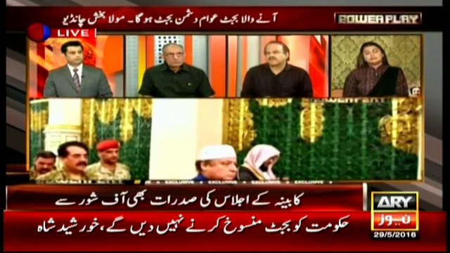 Why Nisar, Shahbaz met with COAS? Naeemasks