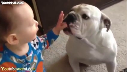 The World's Most Funny Dog Videos 2016 - Video Dailymotion