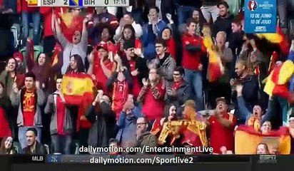 Edin Dzeko Goal Spain 2-1 Bosnia-Herzegovina