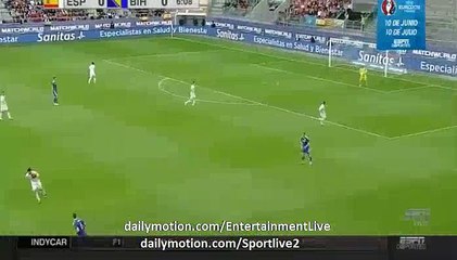 Edin Dzeko Goal Spain 0-1 Bosnia Herzegovina