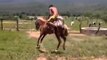 Horse Riding fails/Falls - Funny Whatsapp Video | WhatsApp Video Funny | Funny Fails | Viral Video