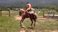 Horse Riding fails/Falls - Funny Whatsapp Video | WhatsApp Video Funny | Funny Fails | Viral Video