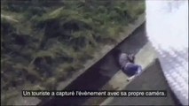 Un petit garçon tombe dans la fausse aux gorilles, leur réaction est incroyable !