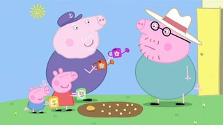 Peppa Pig Series 4 Episode 12   Peppa and George's Garden