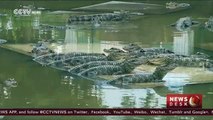18 Chinese alligators released into wild