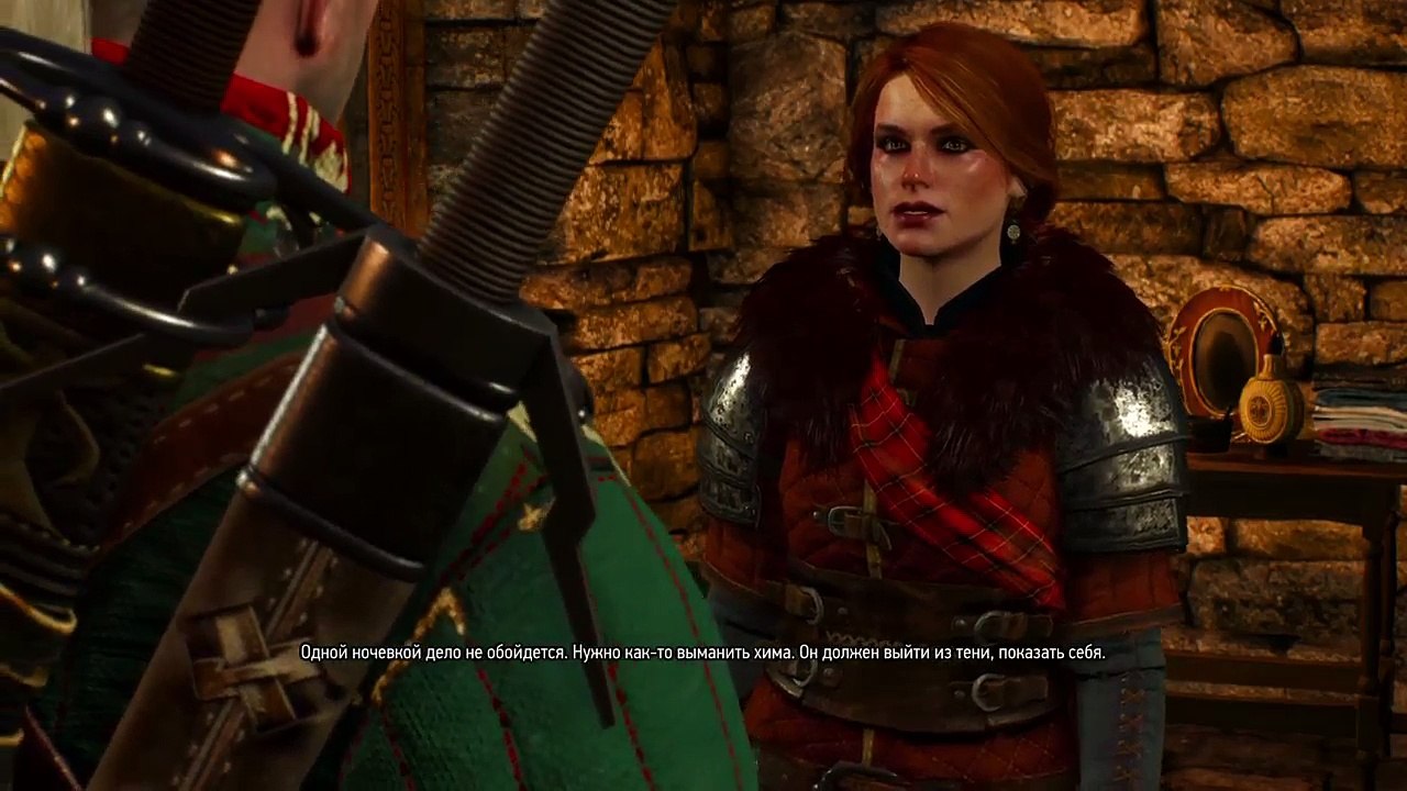 Witcher 3 (18)