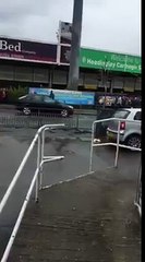 Il y a un cochon en cavale