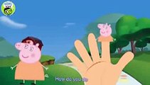 Finger Family Peppa Pig Finger Family Animal Nursery Rhymes Songs For Children video snippet