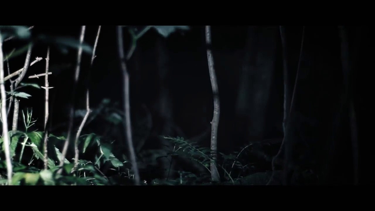 THE HUNTER IN THE NIGHT.