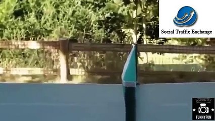 Funny Funny Funny Funny Videos Funny Doctor Jokes Download Funniest Videos Funny Soccer Videos